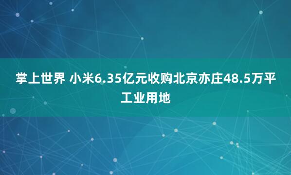 掌上世界 小米6.35亿元收购北京亦庄48.5万平工业用地