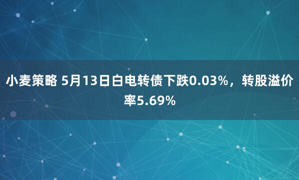 小麦策略 5月13日白电转债下跌0.03%，转股溢价率5.69%
