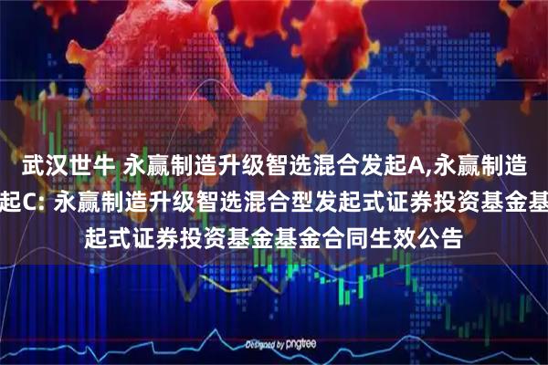 武汉世牛 永赢制造升级智选混合发起A,永赢制造升级智选混合发起C: 永赢制造升级智选混合型发起式证券投资基金基金合同生效公告