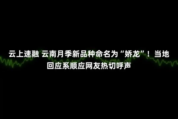 云上速融 云南月季新品种命名为“娇龙”！当地回应系顺应网友热切呼声