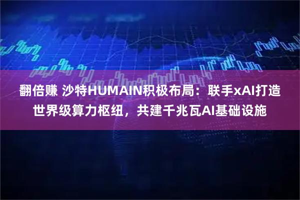 翻倍赚 沙特HUMAIN积极布局：联手xAI打造世界级算力枢纽，共建千兆瓦AI基础设施